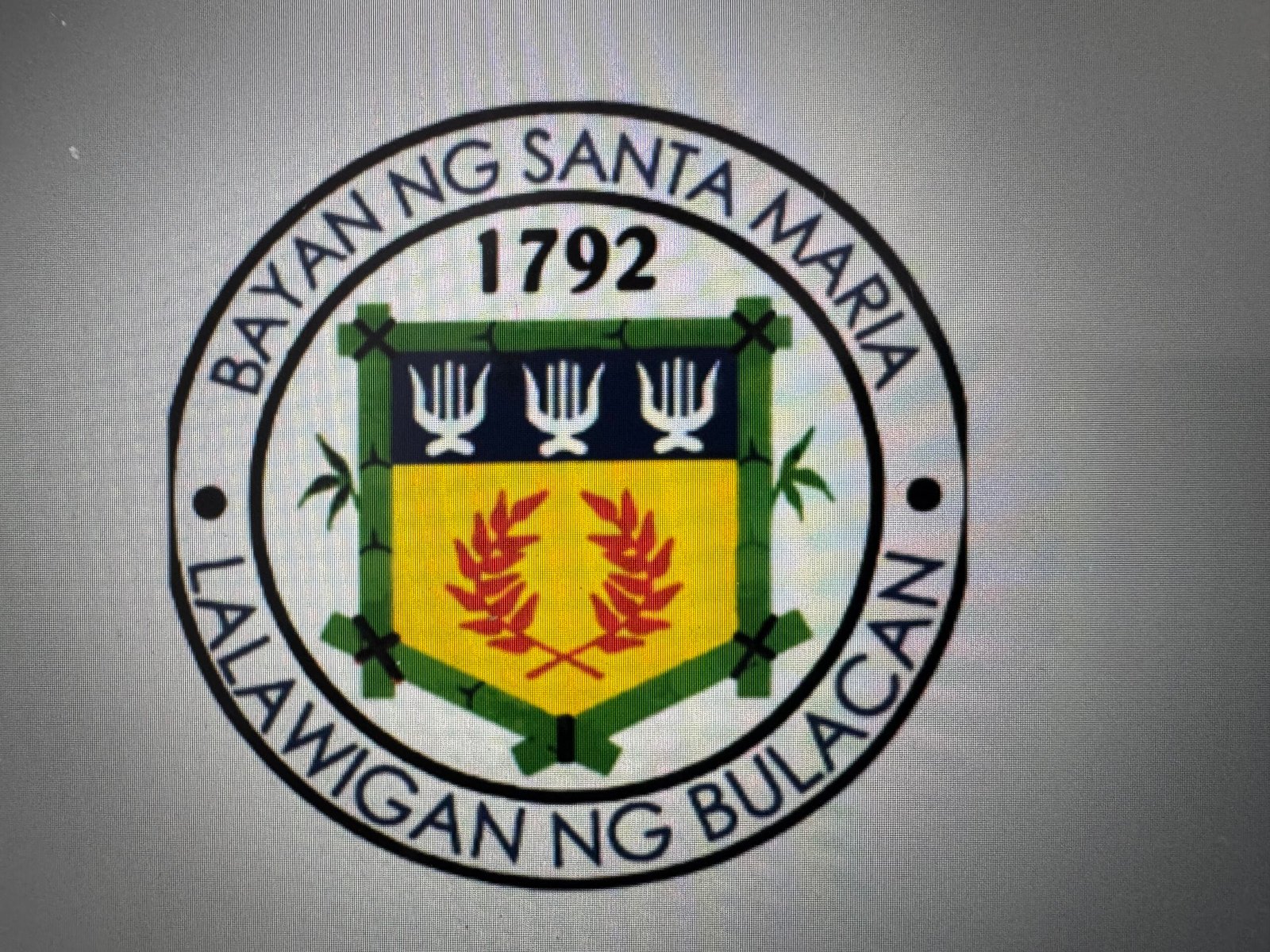 FPI to haul Sta. Maria mayor to Ombudsman over alleged non-enforcement of induction furnace ban